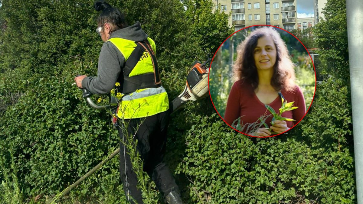 Anna Aniśko apeluje o "maj bez koszenia".