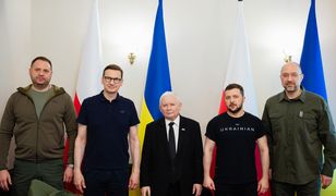 Politycy PiS chcą "wystawić bardzo wysoki rachunek Ukrainie". Ale niektórzy łagodzą ton