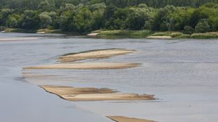 Bydgoszcz: Znamy tożsamość kobiety, którą 11 września wyłowiono z Wisły w Fordonie