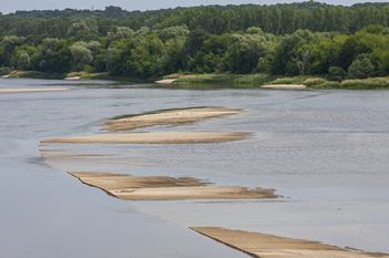Bydgoszcz: Znamy tożsamość kobiety, którą 11 września wyłowiono z Wisły w Fordonie
