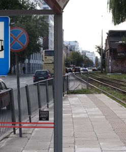 Warszawa. Cyfrowe ekrany na 15 przystankach. Można sprawdzić położenie pojazdów