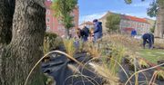 Zielone przystanki i skwery z pomysłem. Tak Gorzów chce zmieniać miejską przestrzeń