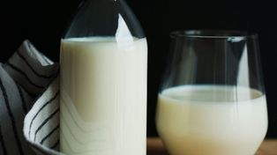 Mleko wycofane ze sklepów. Wykryto cereulidynę
