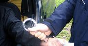 Usiłował przekupić policję. Jego wytłumaczenie szokuje