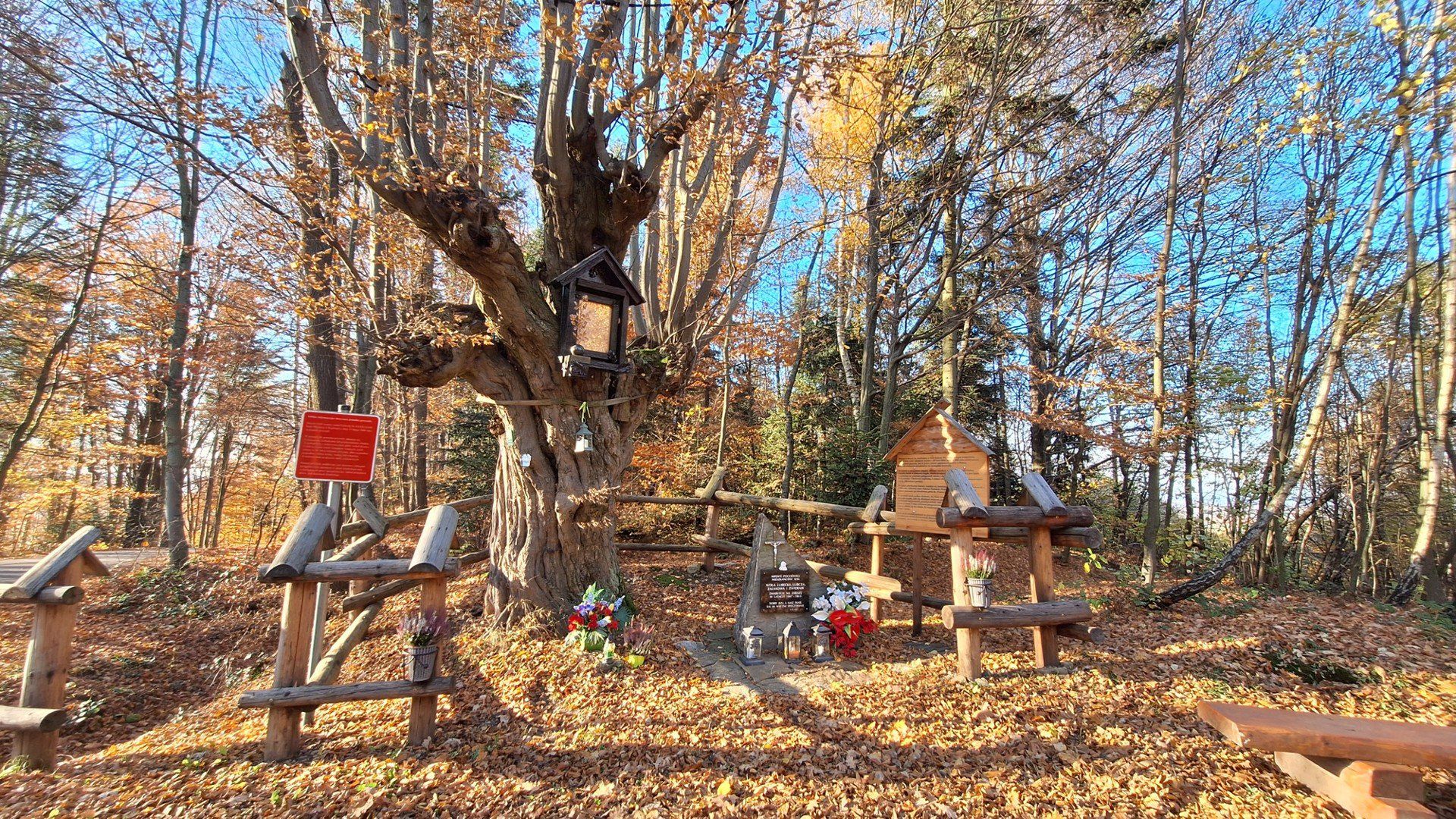 Staraniem społeczników na górze Kokocz, gdzie w XIX-wieku mieli zostać pochowani mieszkańcy okolicznych wsi - ofiary zarazy, upamiętnia głaz z tablicą. Obok starego graba z kapliczką powstało ogrodzenie i nieduży parking