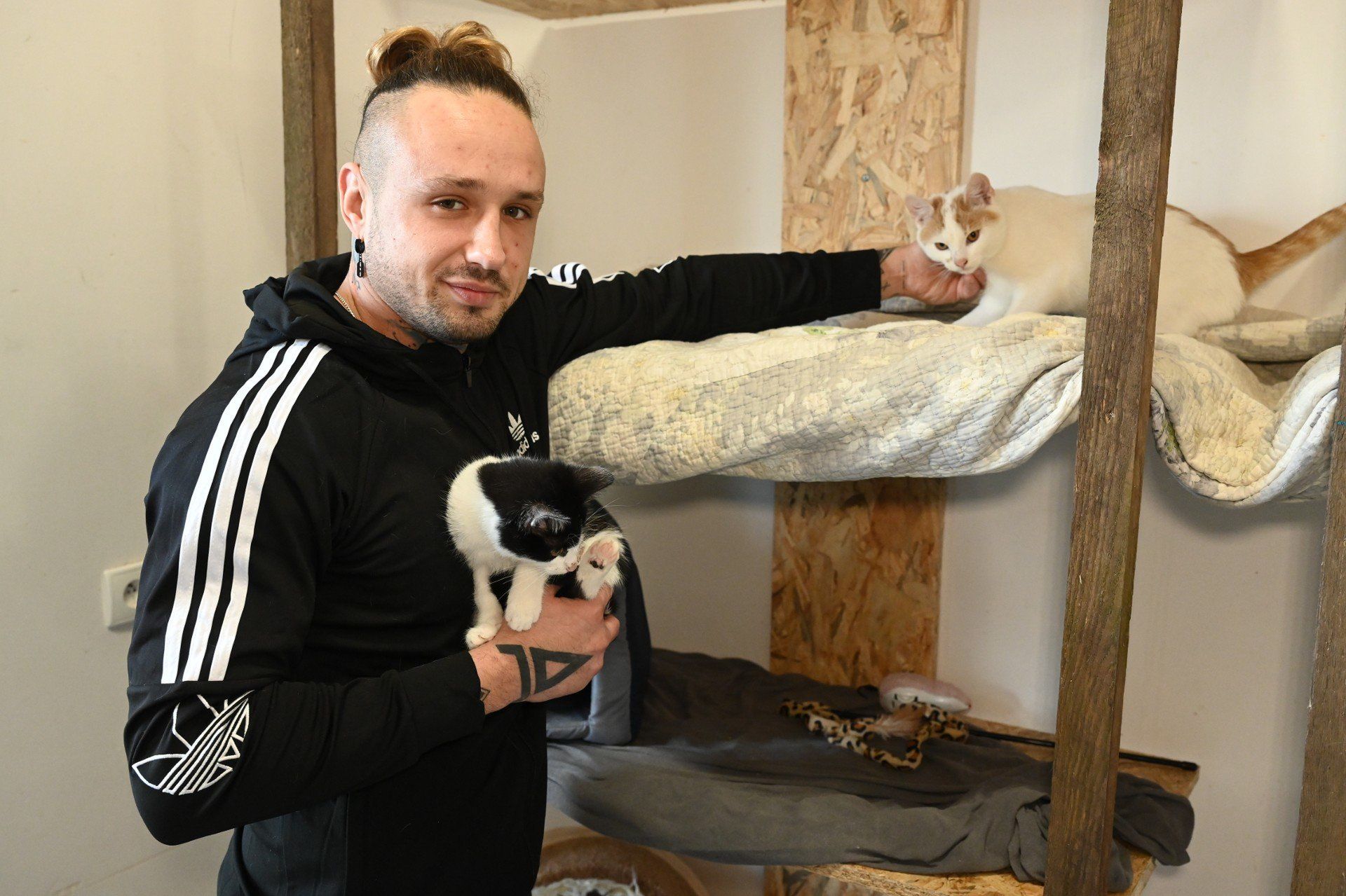 Obecnie w schronisku przebywa 130 zwierząt, z czego ponad 80 to koty.