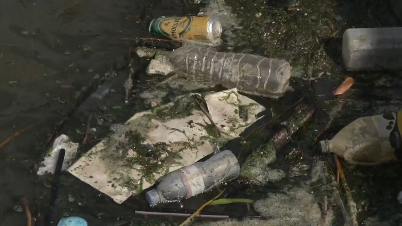 Ogromna ilość plastiku w morzach i oceanach. Ekolodzy z WWF alarmują i apelują do ONZ