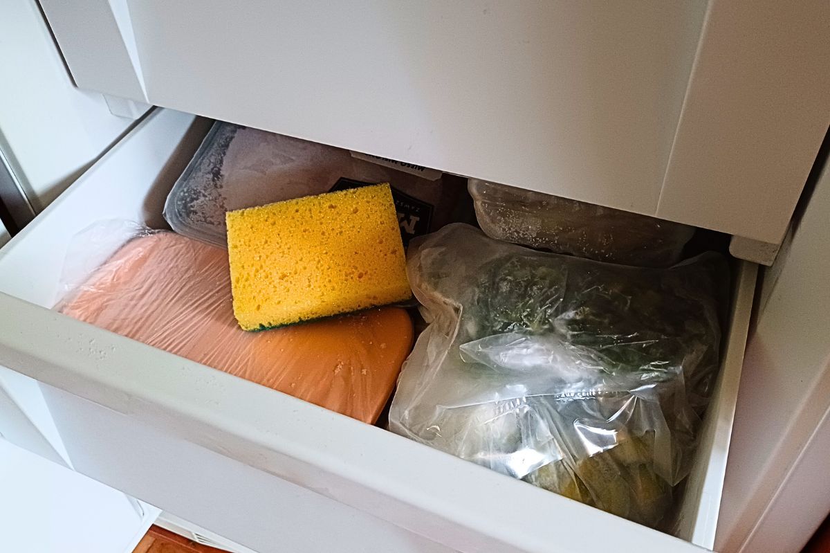 Why should you keep a dish sponge in the freezer?