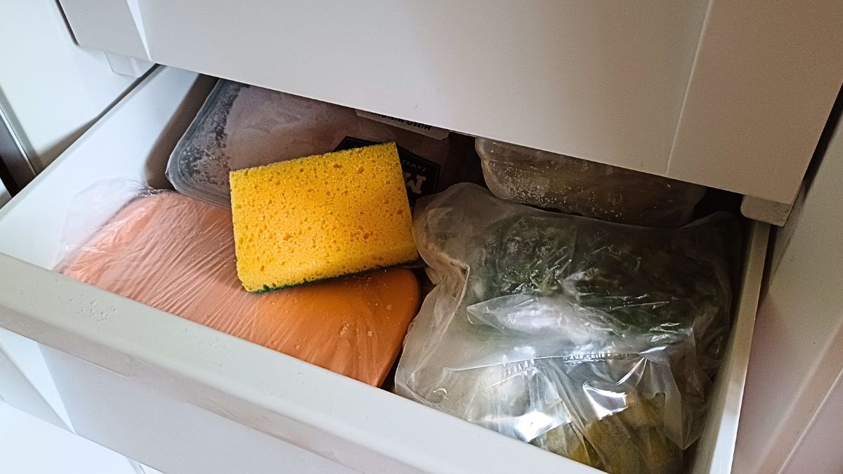Dlaczego warto trzymać gąbkę do naczyń w zamrażace?