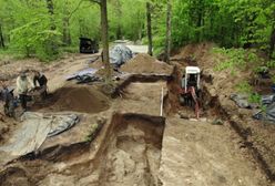 Odkryto masowy grób na Pomorzu. Co najmniej 84 ofiary zbrodni w Lesie Szpęgawskim