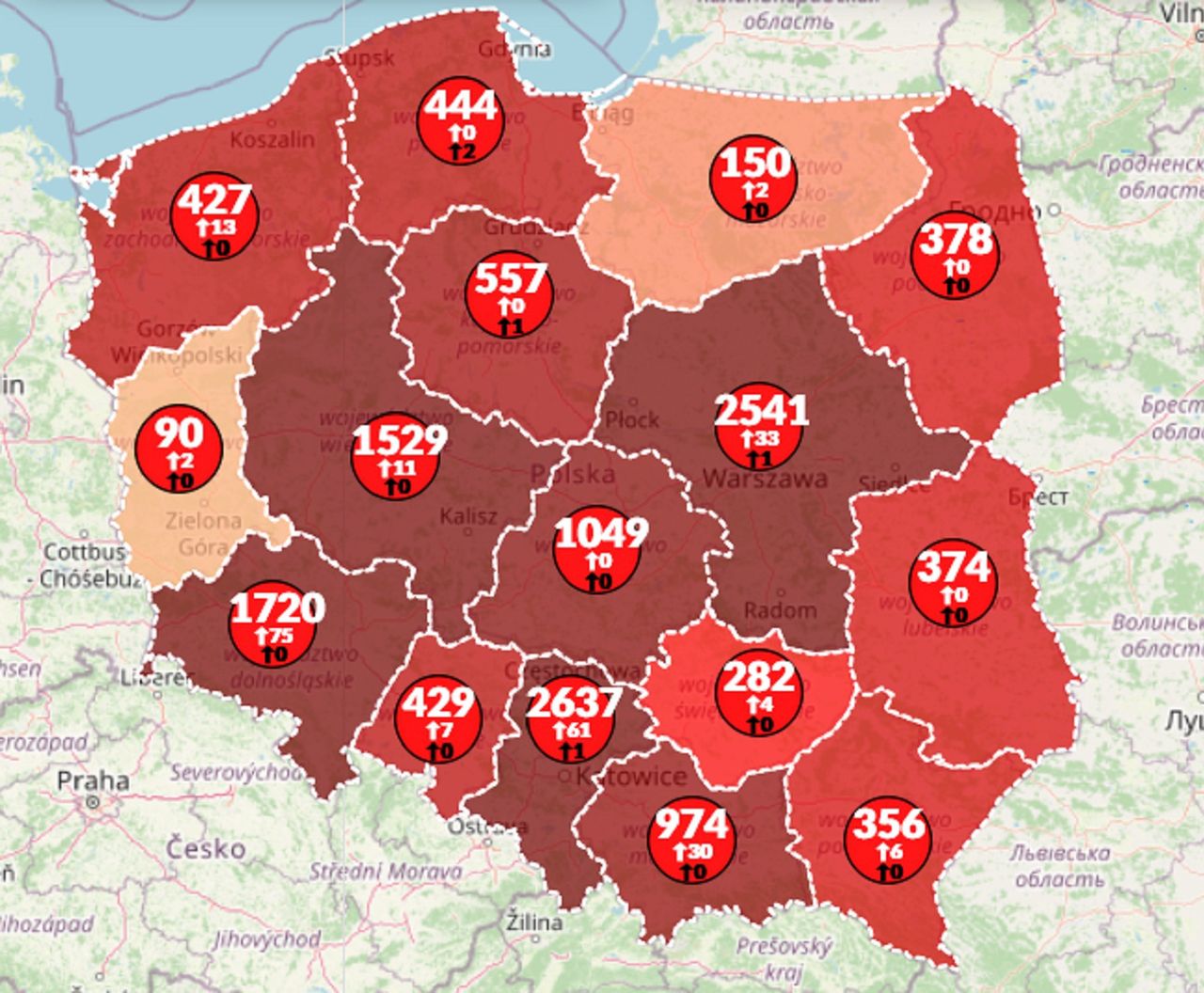 Koronawirus w Polsce. Blisko 14 tys. zarażonych. 3,5 mln chorych na świecie [Aktualna mapa]