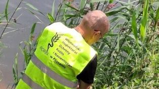Wielkopolska: Groźna dla upraw bakteria wykryta w Warcie. WIORiN apeluje o ostrożność