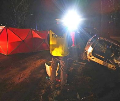 Śmiertelny wypadek w Wielkopolsce. Nie żyje 20-letni kierowca audi