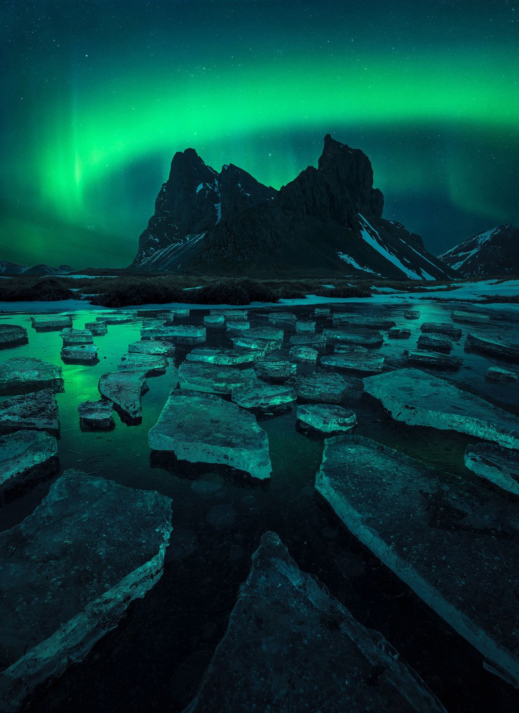 Fred Bailey / I miejsce w kat. "Aurorae"
