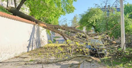 Drzewo runęło na zaparkowany samochód w centrum Lublina. Gałęzie uszkodziły linię oświetleniową