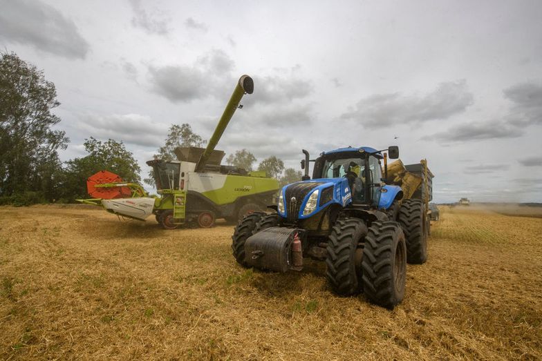 Resort rolnictwa nie chce tranzytu zboża z Ukrainy. Będzie apel do rządu