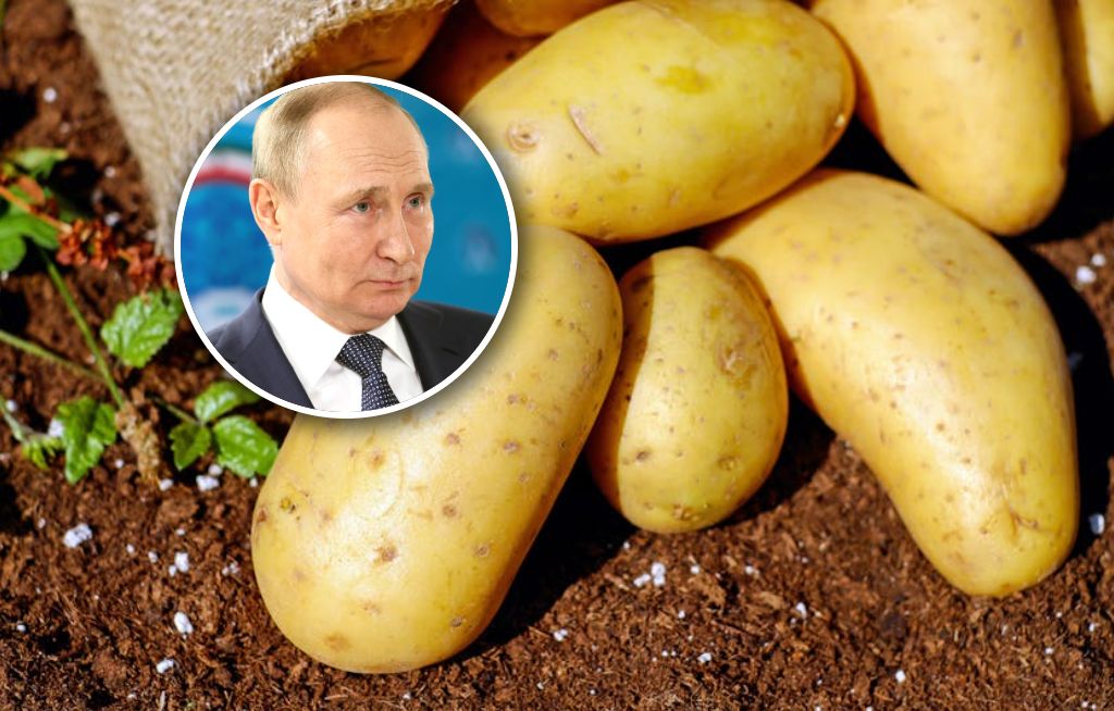 Moskwa ma nowy problem. Nikt nie chce rosyjskich ziemniaków