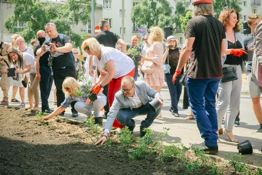 Warszawa. W otoczeniu muralu posadzono róże