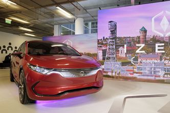 Fabryka Izery w lesie? Rząd chce zabrać teren Lasom Państwowym