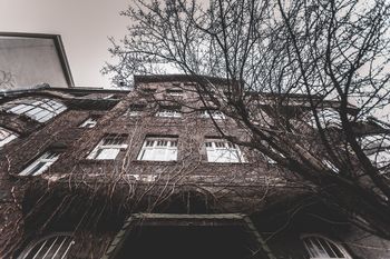 Porośnięta bluszczem dawna fabryka czekolady. Mieszkał tu znany generał-kolekcjoner. Co jeszcze skrywa tajemnicza kamienica w Katowicach?