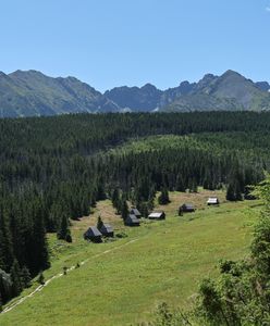 Wypadek w Tatrach. Turysta spadł z 100-metrowej ściany