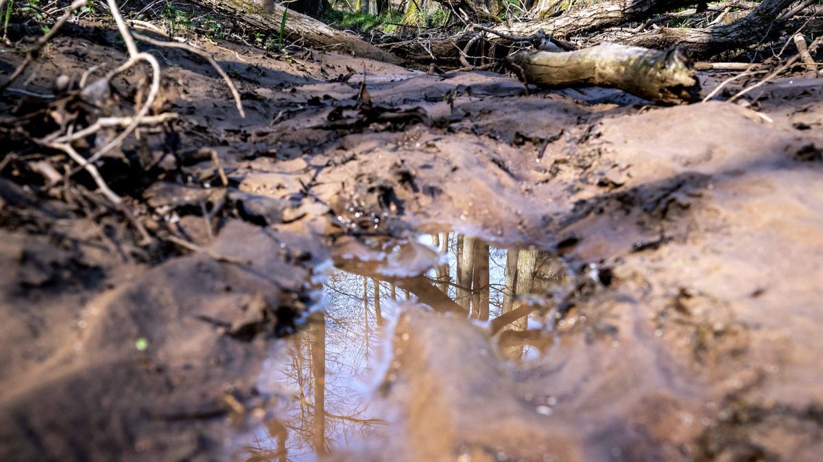 Polska z powodu ciepłej zimy zmaga się z potężną suszą