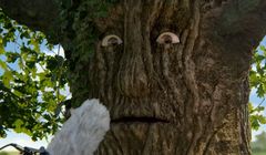 Opowieść dębu o miłości Matki Natury w reklamie zup Hortex (wideo)