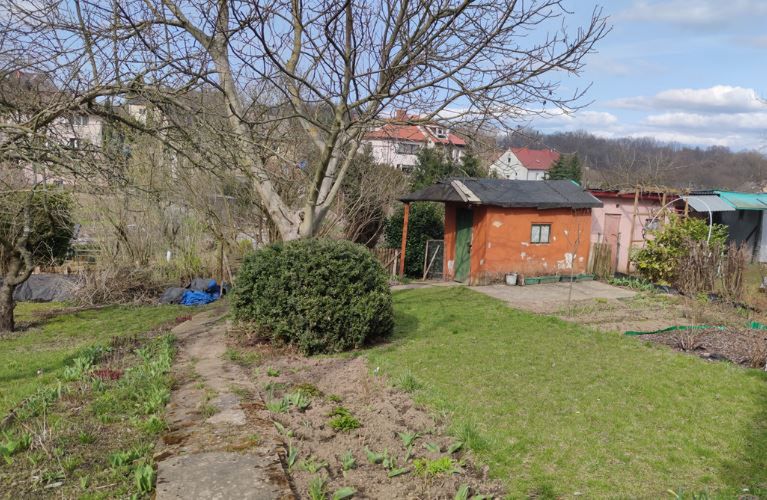 ogródek działkowy