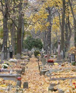 Ekspert zapytany o święta i cmentarze. "Krzywe nie rosną gwałtownie"