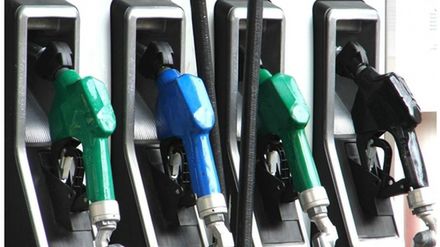 Algi obietnicą alternatywnego biopaliwa 1