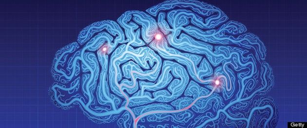 BigBrain mapa
