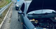 Słupsk: Zepsuty ford i brak prawa jazdy. Pechowy poranek 34-latka
