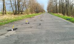 Dziury łatane kwiatami. Nietypowy pomysł stowarzyszenia