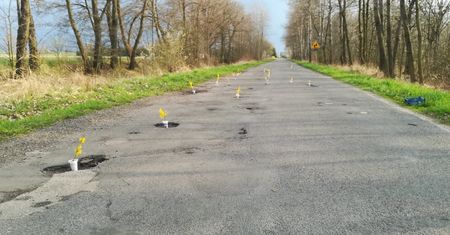 Dziury łatane kwiatami. Nietypowy pomysł stowarzyszenia