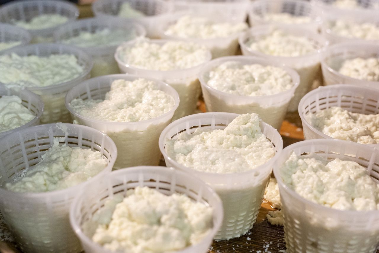Portions of fresh ricotta cheese.
Portions of fresh ricotta cheese.
Francesco Bergamaschi