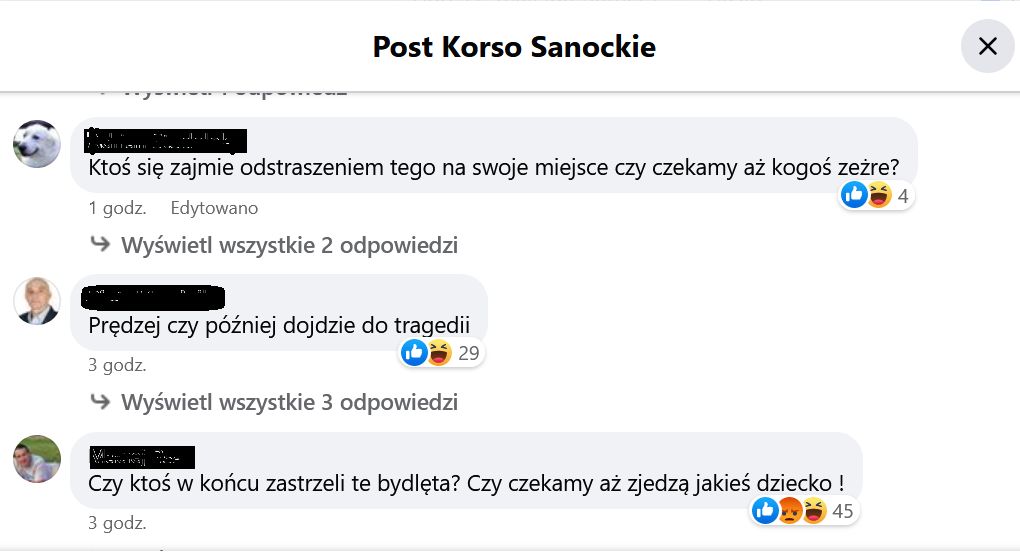 Mieszkańcy zaniepokojeni obecnością niedźwiedzi