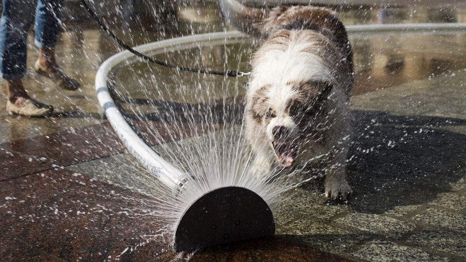 Czy na koniec sierpnia wrócą jeszcze upały? Sprawdź prognozę pogody IMGW.