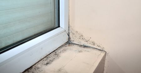 Spryskaj tym parapet. Wykwity pleśni znikną po godzinie