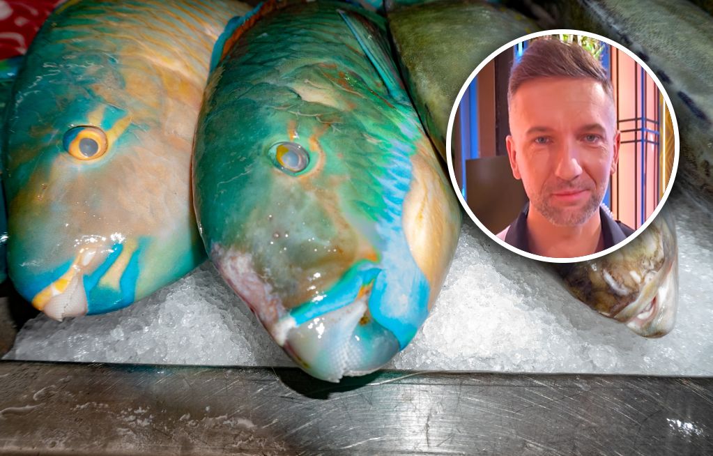 Klima ocenił smażoną papugorybę w "MasterChefie"