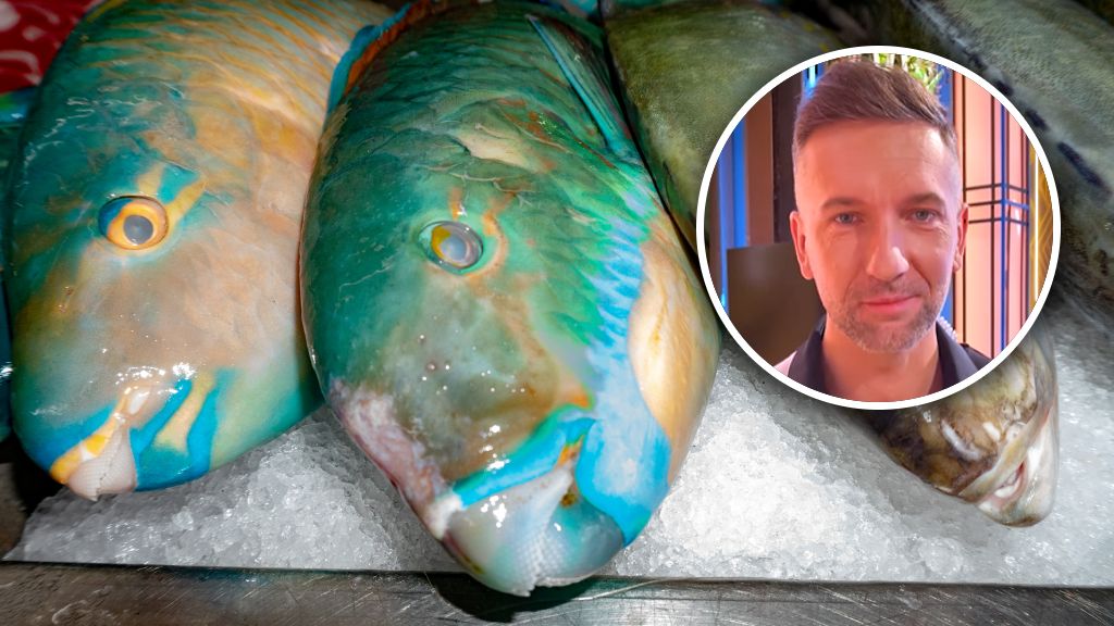 Klima ocenił smażoną papugorybę w "MasterChefie"