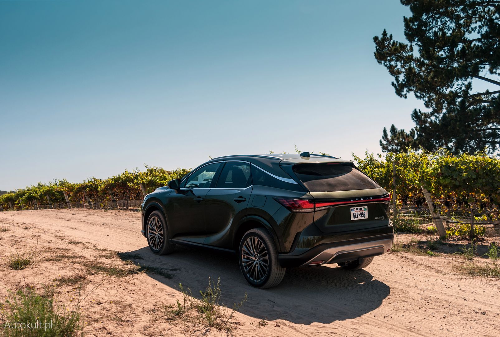 Nowy Lexus RX