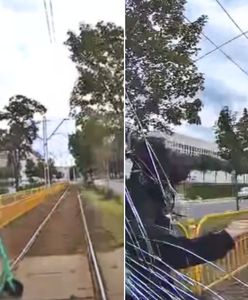 Nastolatek wjechał hulajnogą pod tramwaj. Miał słuchawki w uszach