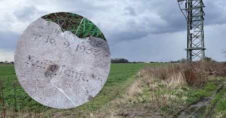 Zbudują bloki na cmentarzu? Deweloper twierdzi, że nic nie wiedział