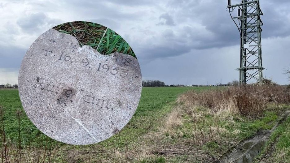 Na terenie starego cmentarza pod Wrocławiem mają stanąć bloki