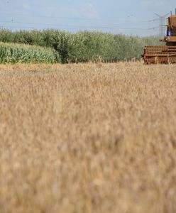 Rolnik emeryt. Oto jaką emeryturę dostanie po 25 latach pracy