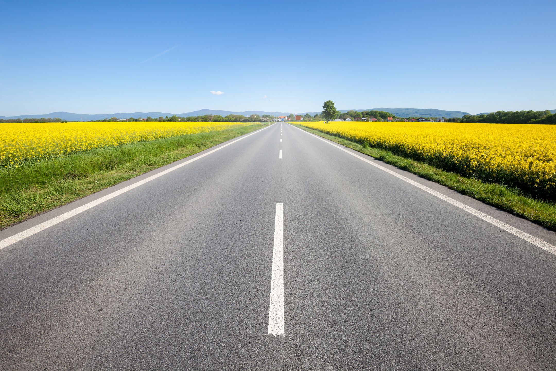 Asphalt road among the summer field. Beautiful countryside landscape
Photographer: Nickolay Khoroshko
road, field, asphalt, green, landscape, spring, nature, country, sky, rural, blue, summer, land, outdoor, countryside, empty, side, view, grass, highway, day, sunny, agriculture, meadow, horizon, tree, background, way, transport, trip, perspective