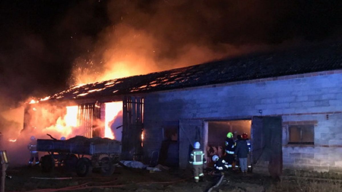 Seria groźnych pożarów we wsi Gizałki-Las