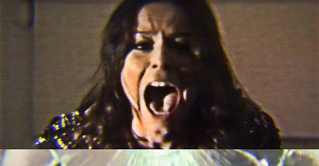 Mucha torturowana i zabita przez psychopatę! (WIDEO)