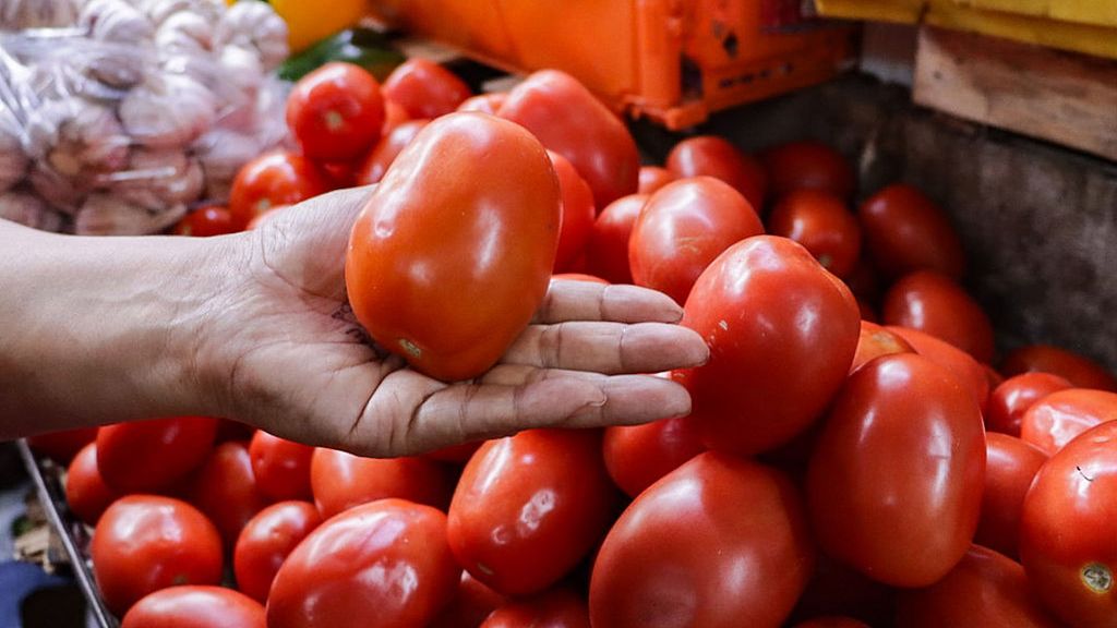 Nie powinniśmy rano jeść pomidorów