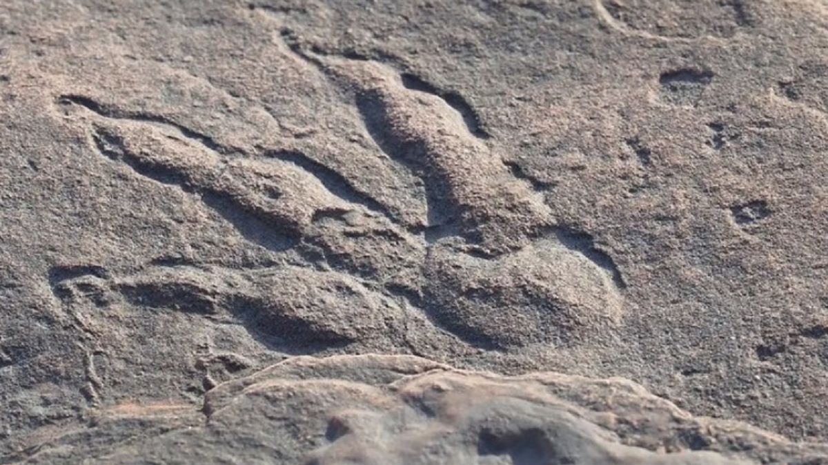 Ślad dinozaura sprzed 220 mln lat 